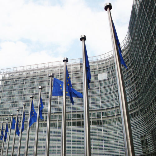 Encadrement des perturbateurs endocriniens : la Commission Européenne manque d’ambition, selon Générations Futures